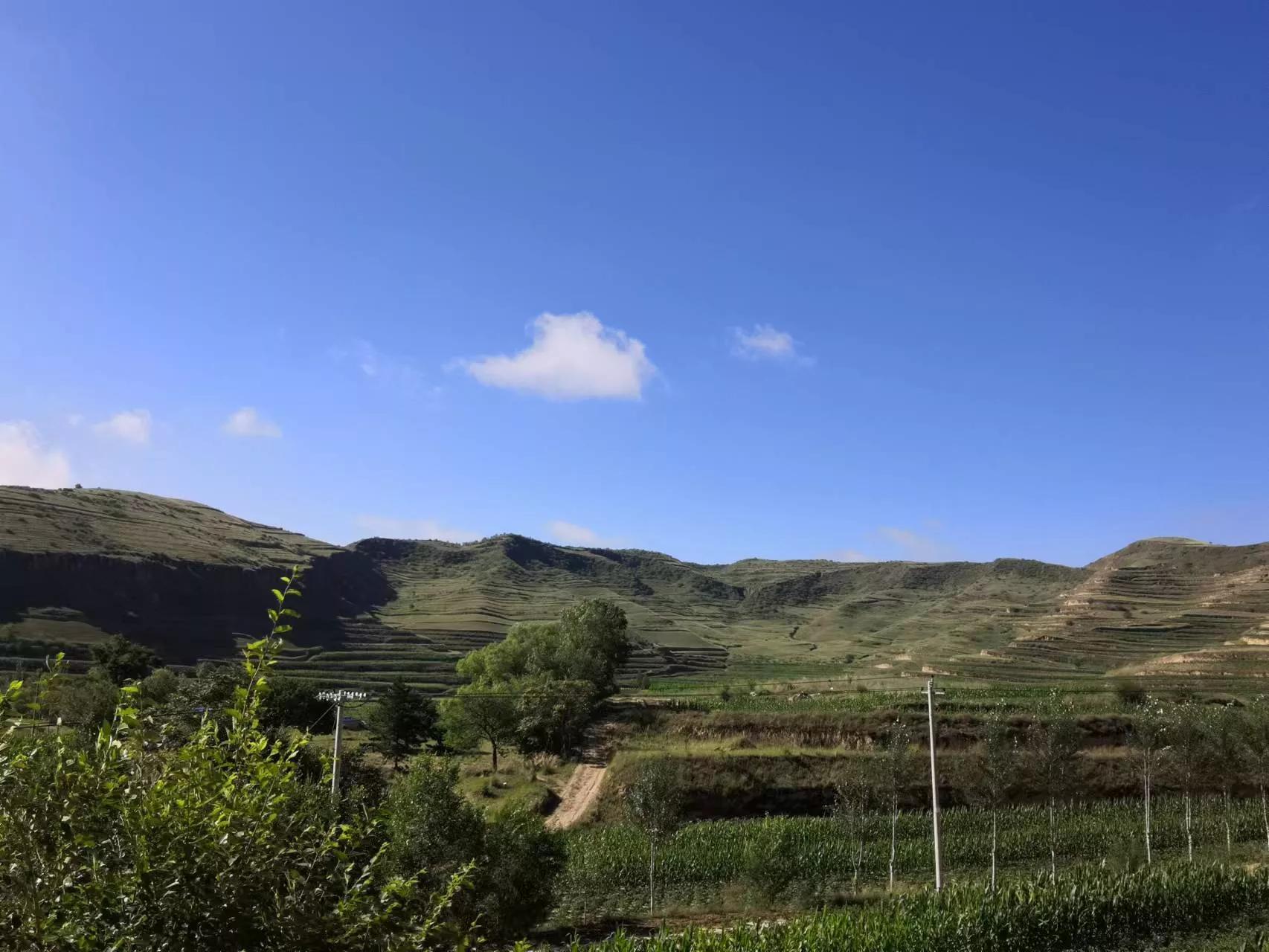 老妈告别儿女场景,悼母词范文