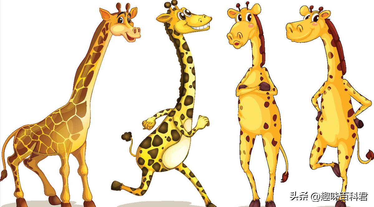 脑筋急转弯大全及答案爆离谱版,脑筋急转弯大全及答案和解释