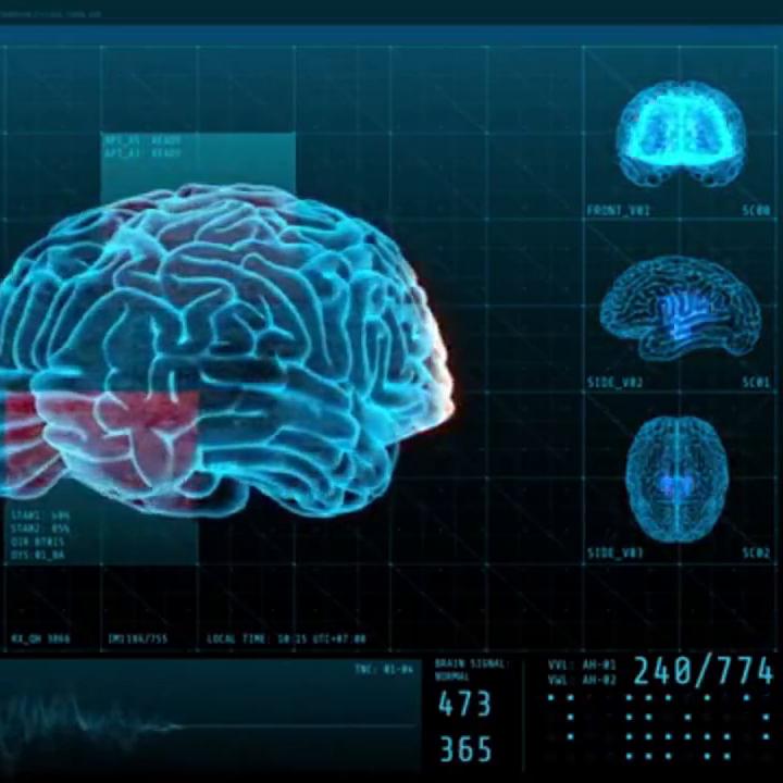 041-如何驱散恐惧