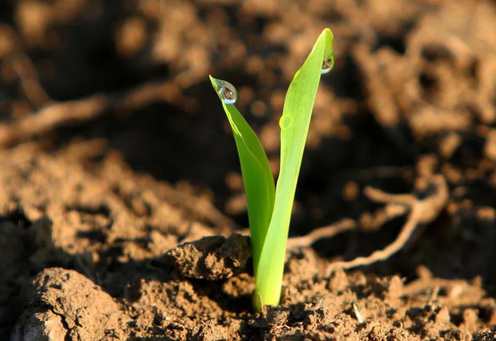 期货高手分享交易系统,分享商品期货交易策略