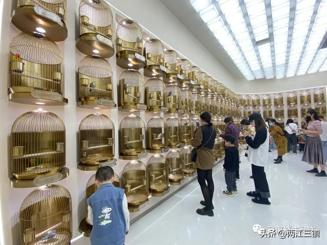 实探南京开市客首店,最大综合商业体