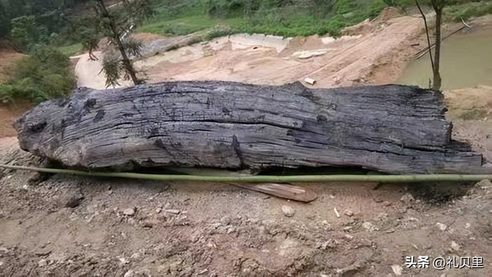 阴沉木桃木怎么辨别真伪,怎么辨别杉木阴沉木