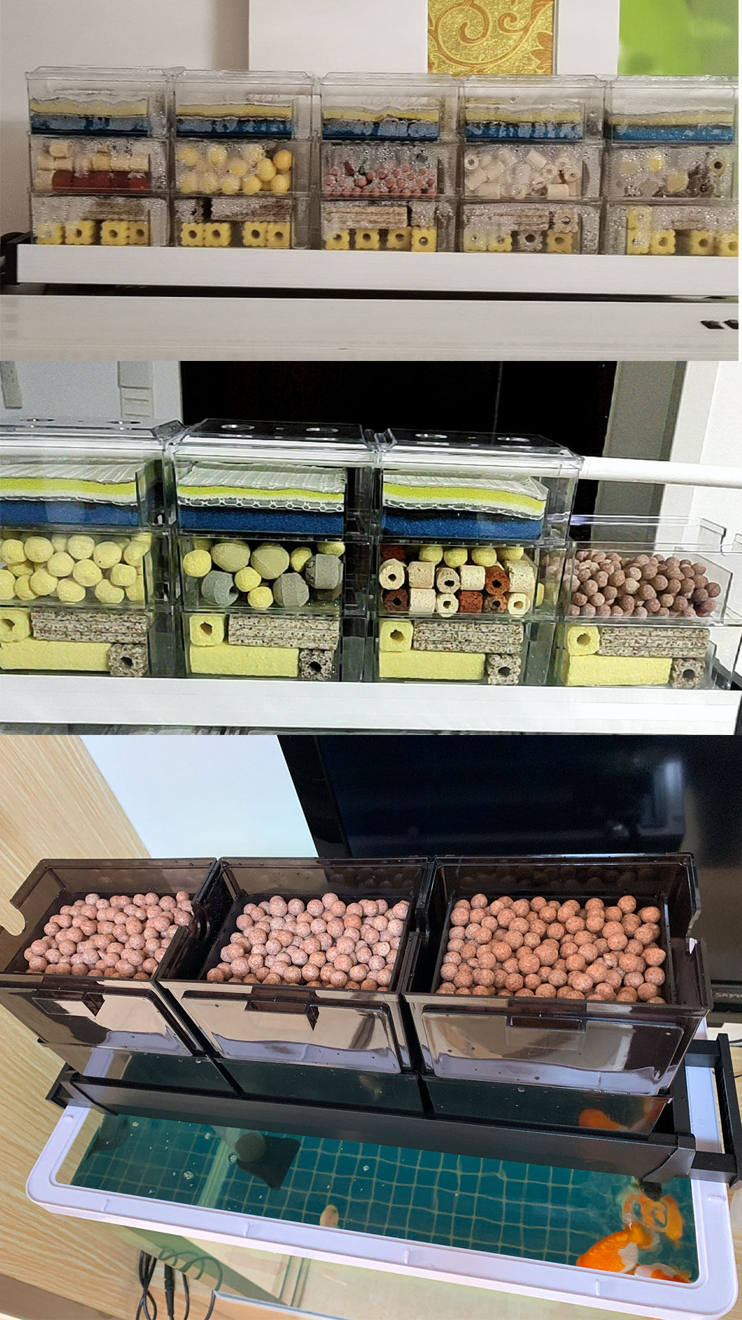 养鱼一定要开缸吗,新手养鱼开缸教程合集