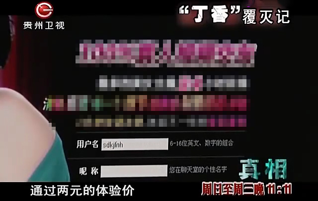 丁香覆灭记中的警方,丁香覆灭记免费观看