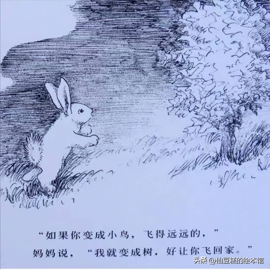 绘本阅读成长路上的陪伴,绘本推荐3-6岁绘本故事亲情