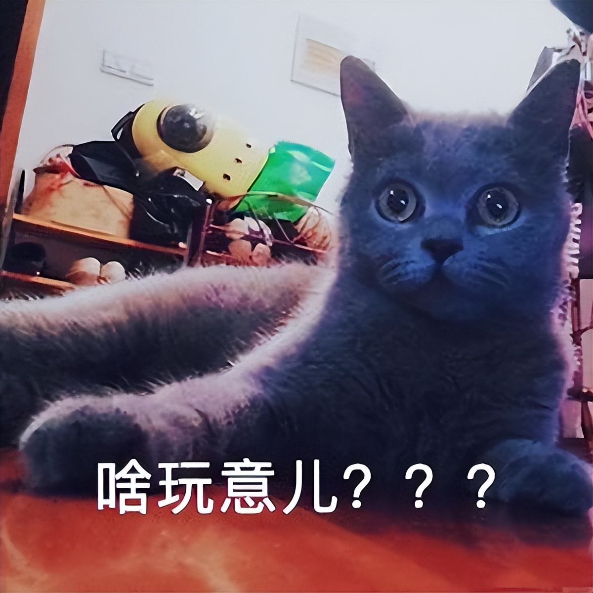 网购的鞋子穿了一天发现磨脚,网购鞋子超过三个月出现质量问题