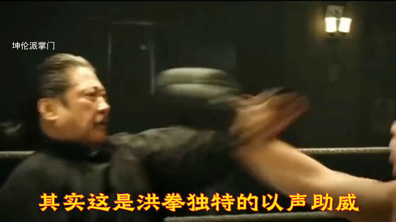 咏春洪拳片段,咏春拳劈肘手法