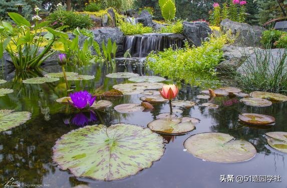 农村门前挖一个最简单的生态鱼池,家庭院子挖个小鱼塘怎么蓄水