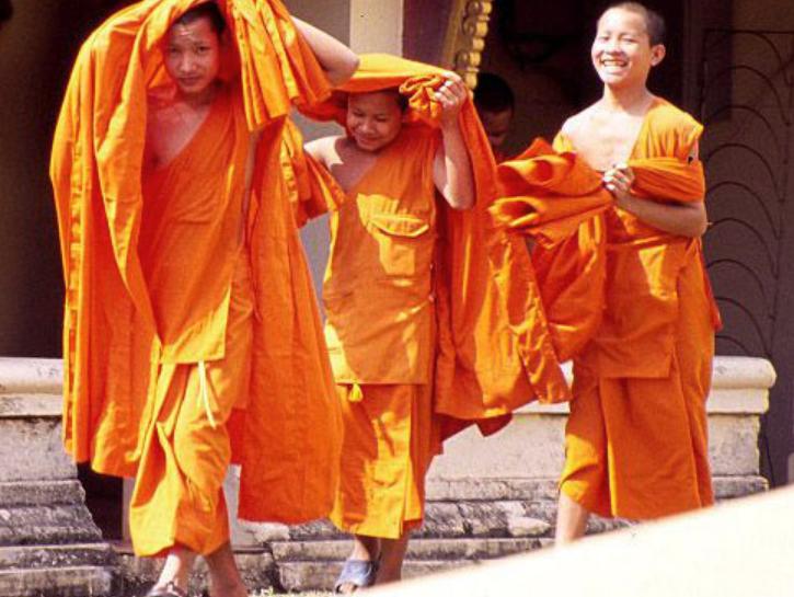 国外千金难求的藏红花，为何国内几十块称斤卖？是不是智商税？