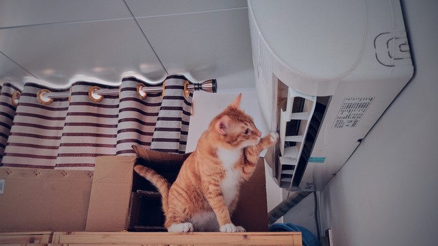 修空调修灯泡修下水道,修中央空调水管