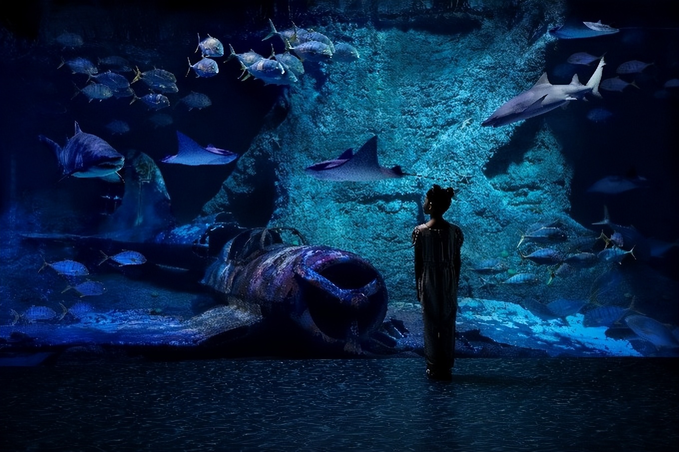 涓夊ぉ鐜╄浆闃垮竷鎵庢瘮,鐜╄浆闃垮竷鎵庢瘮