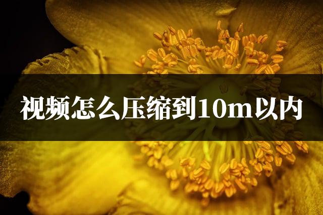 视频怎么压缩到10m以内？试试这种压缩方法