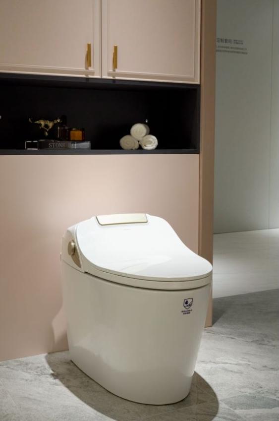 智能马桶下单前问哪些问题,智能马桶能从网上买