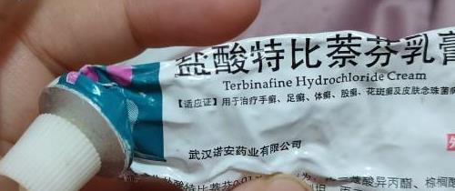 猫咪生病怎么办才能治好,猫咪生病怎么办最好的方法