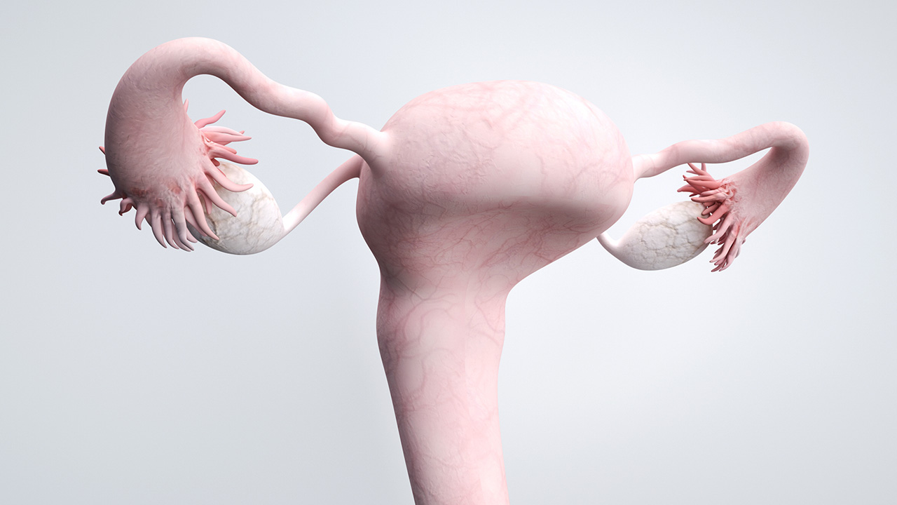 速效救心丸治什么心脏病,速效救心丸可以用于各种心脏病吗