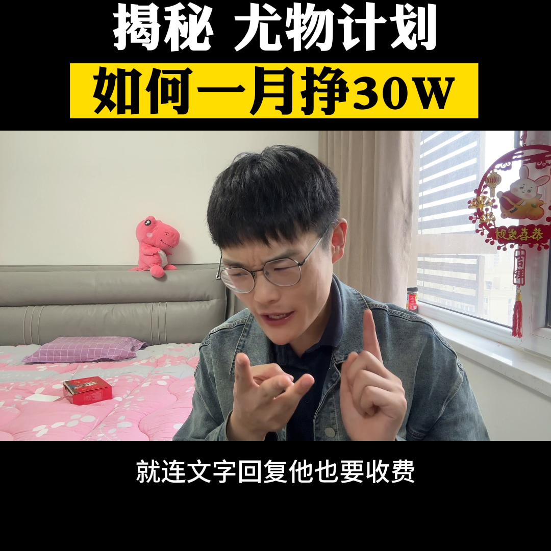 尤物计划项目能赚钱吗,尤物计划投资多少钱