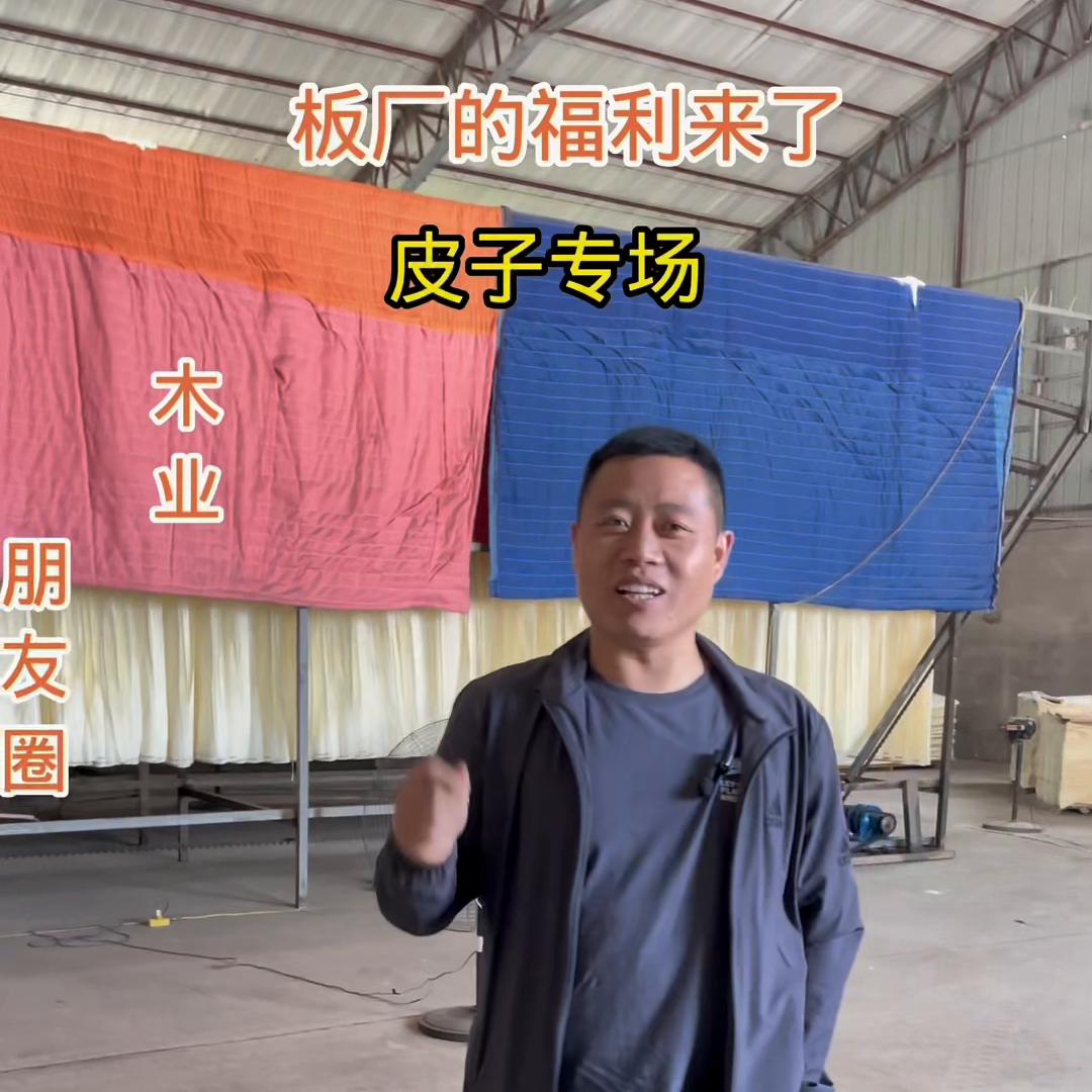 杨木板皮加工场,板厂贴杨木皮子方法