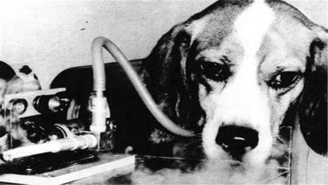 吸烟有害健康有研究证明吗,吸烟有害能证明吗