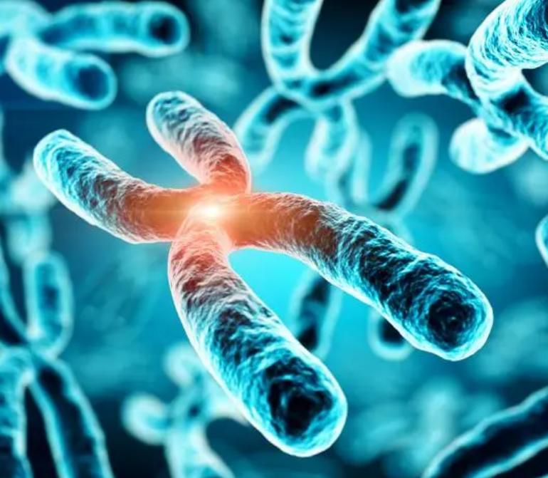 揭秘男性衰老的10大征兆,男性衰老最明显的征兆