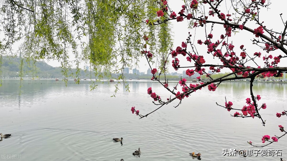 十首春天的诗词美得让人陶醉,关于春天的十首唯美诗词