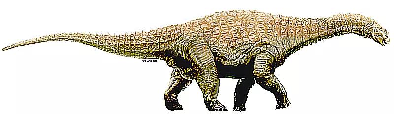 泰坦巨龙图片从哪来的,泰坦巨龙恐龙图片和简介