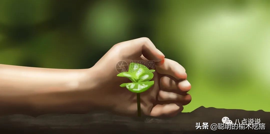 一张图轻松了解保险种类,如何快速掌握保险知识做业务