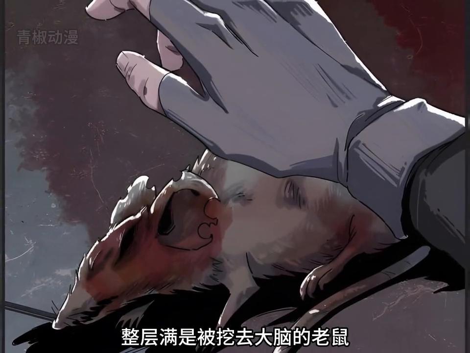 我拯救了全人类,我拯救了世界却失去了你的动漫