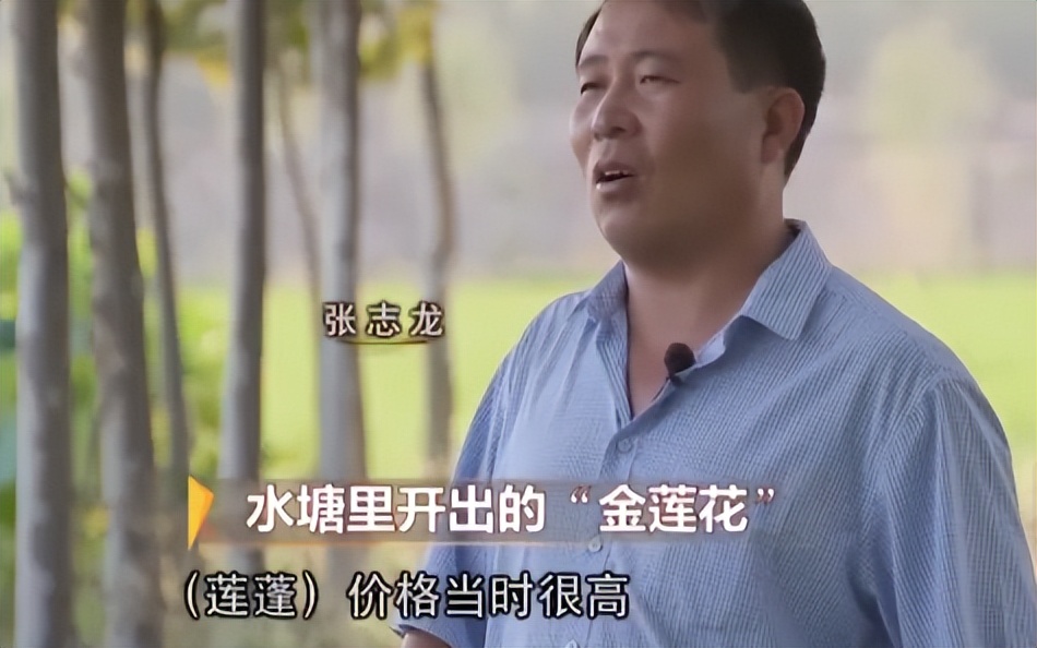 种莲藕能赚多少钱,90后种莲藕发家致富