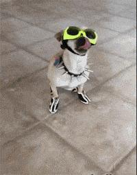 上课衣服穿反怎么办,上课忘记穿裤子该怎么办