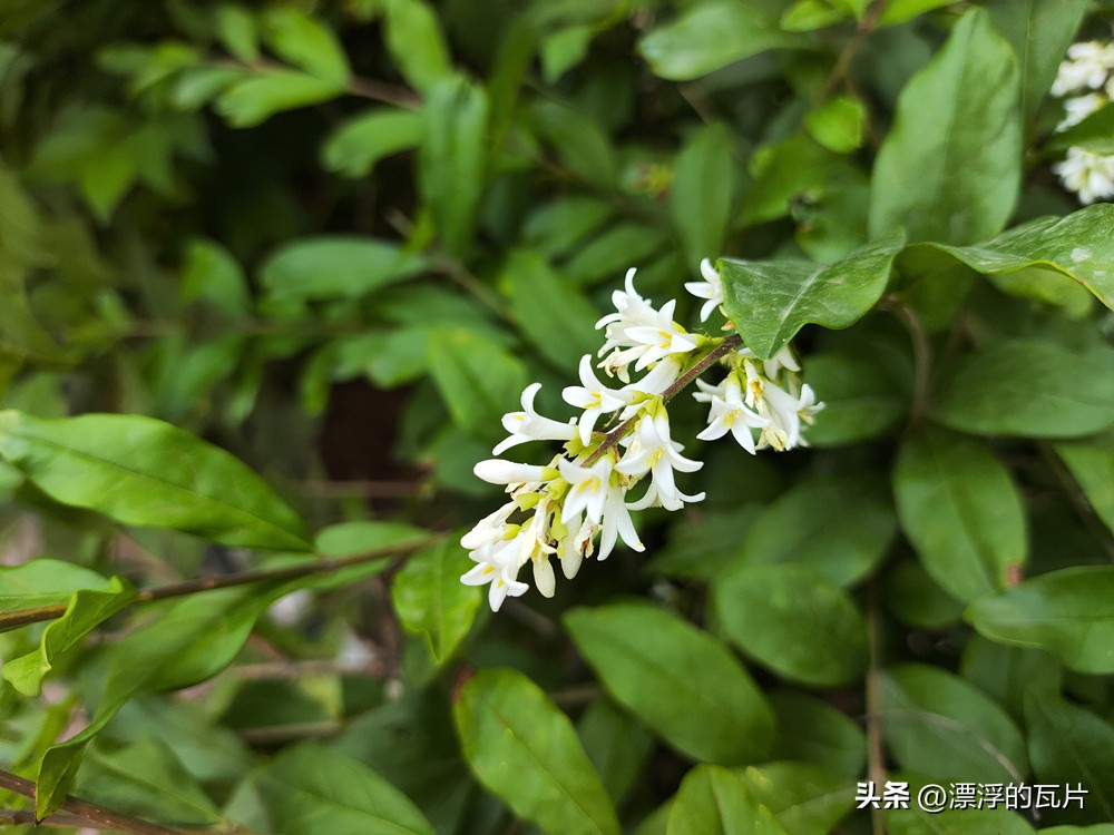 12月红米note12turbo还值得买吗,为什么更推荐红米note12turbo