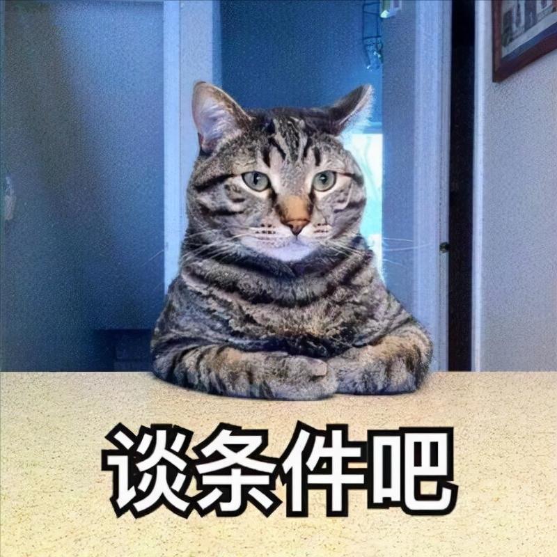 信用卡逾期了怎么协商解决,信用卡逾期怎么办协商再分期