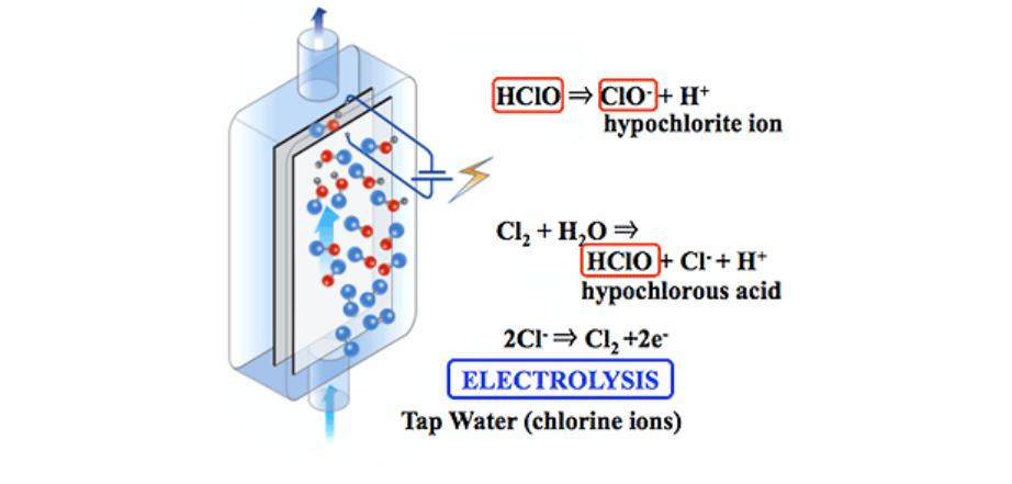 送丈母娘洗地机,送爸妈洗地机