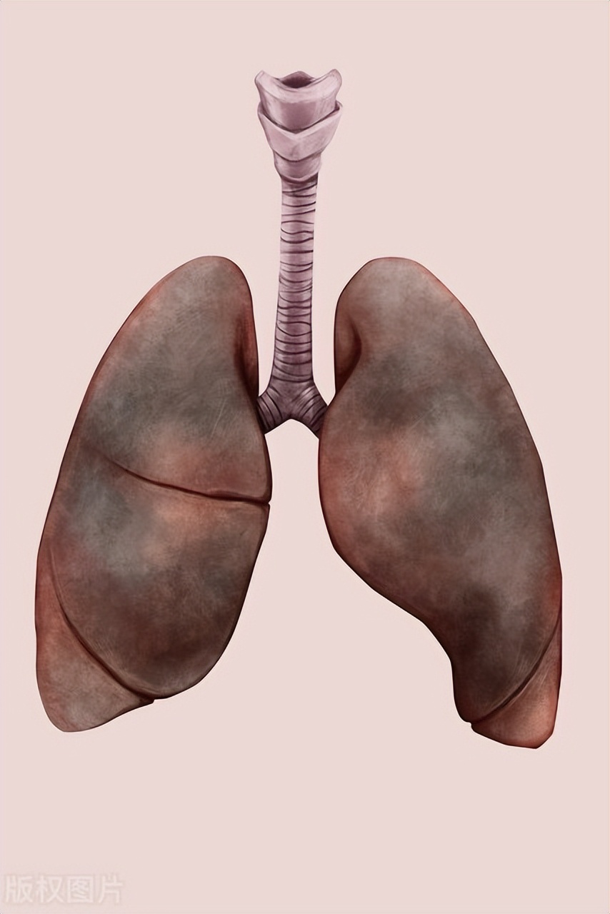 怎么测自己的肺容量,测肺功能有几个重要指标