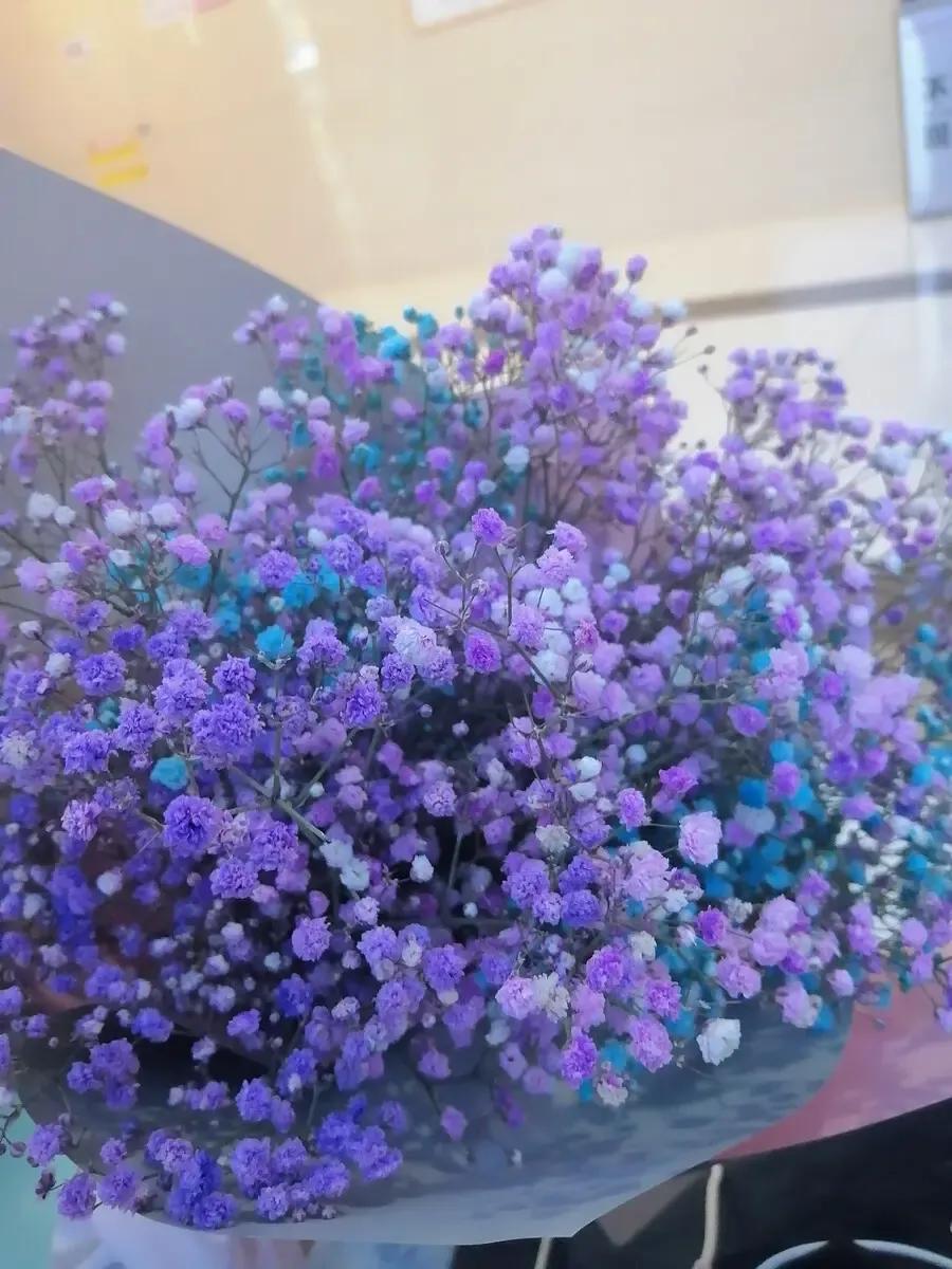 哪些花的花语代表禁忌,花也是不能乱送的