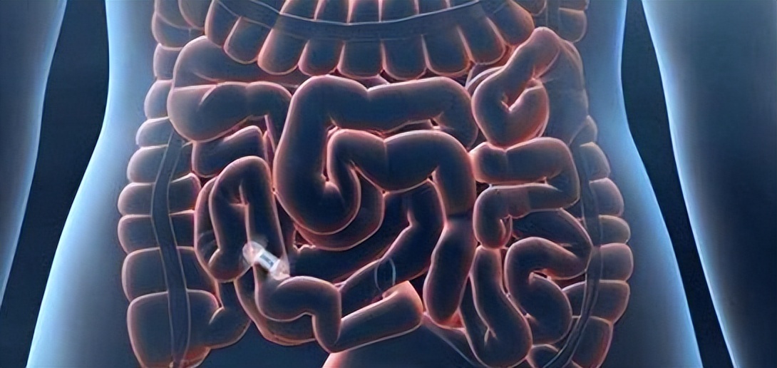 饿得快饱得快怎么调理,饿得快但消化不良是什么原因