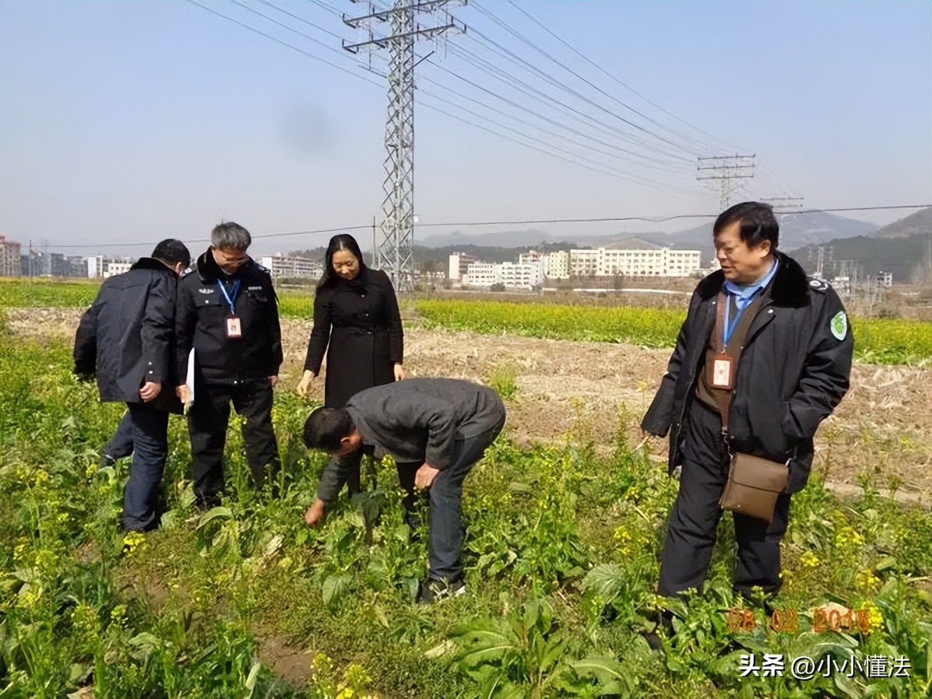 农户百亩辣椒不结果后续,农民100亩辣椒不结果
