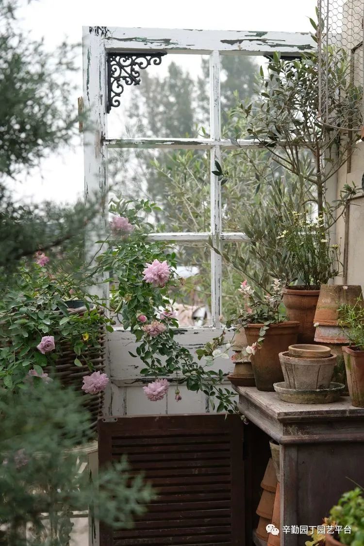 第八届园丁奖露台组《030号》洛基花园