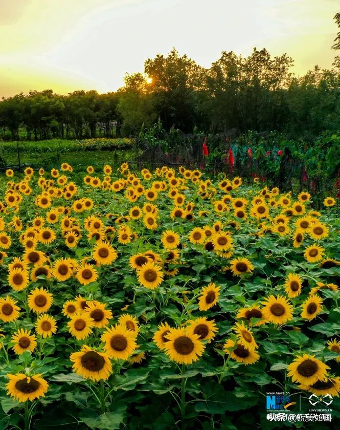 皖南适合避暑的高山村落,小众目的地冷门避暑景点