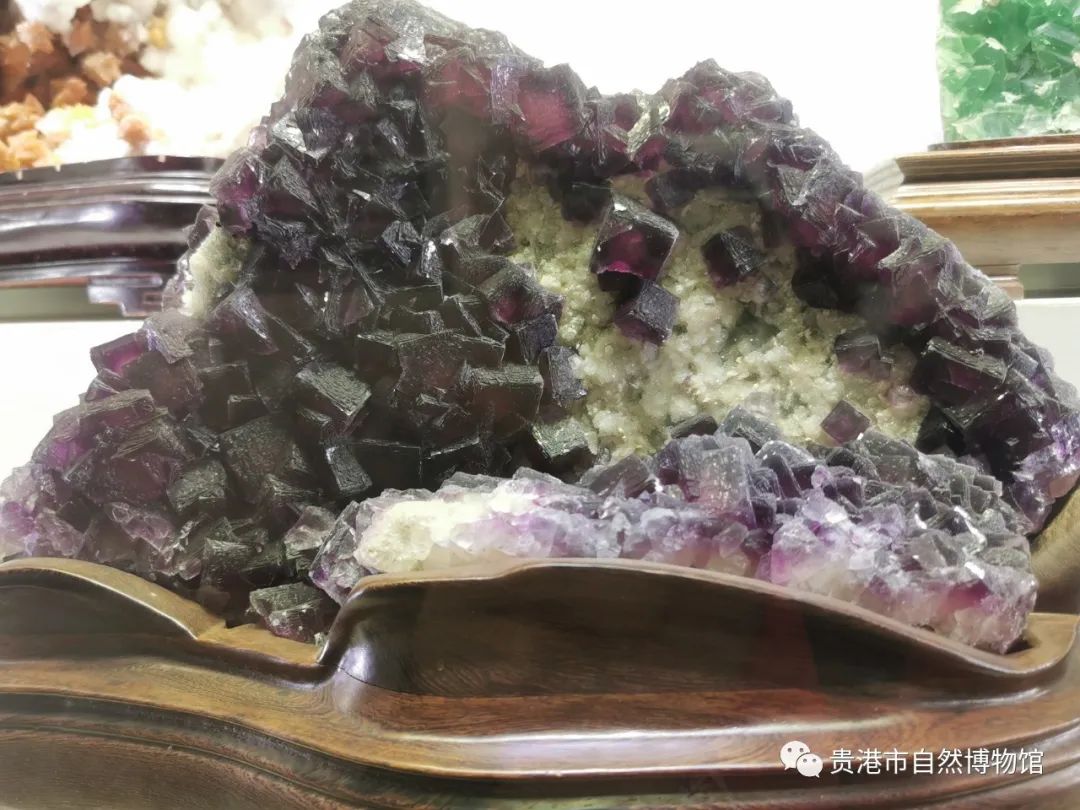 贵港自然博物馆有什么藏品,贵港自然博物馆的化石是真的吗