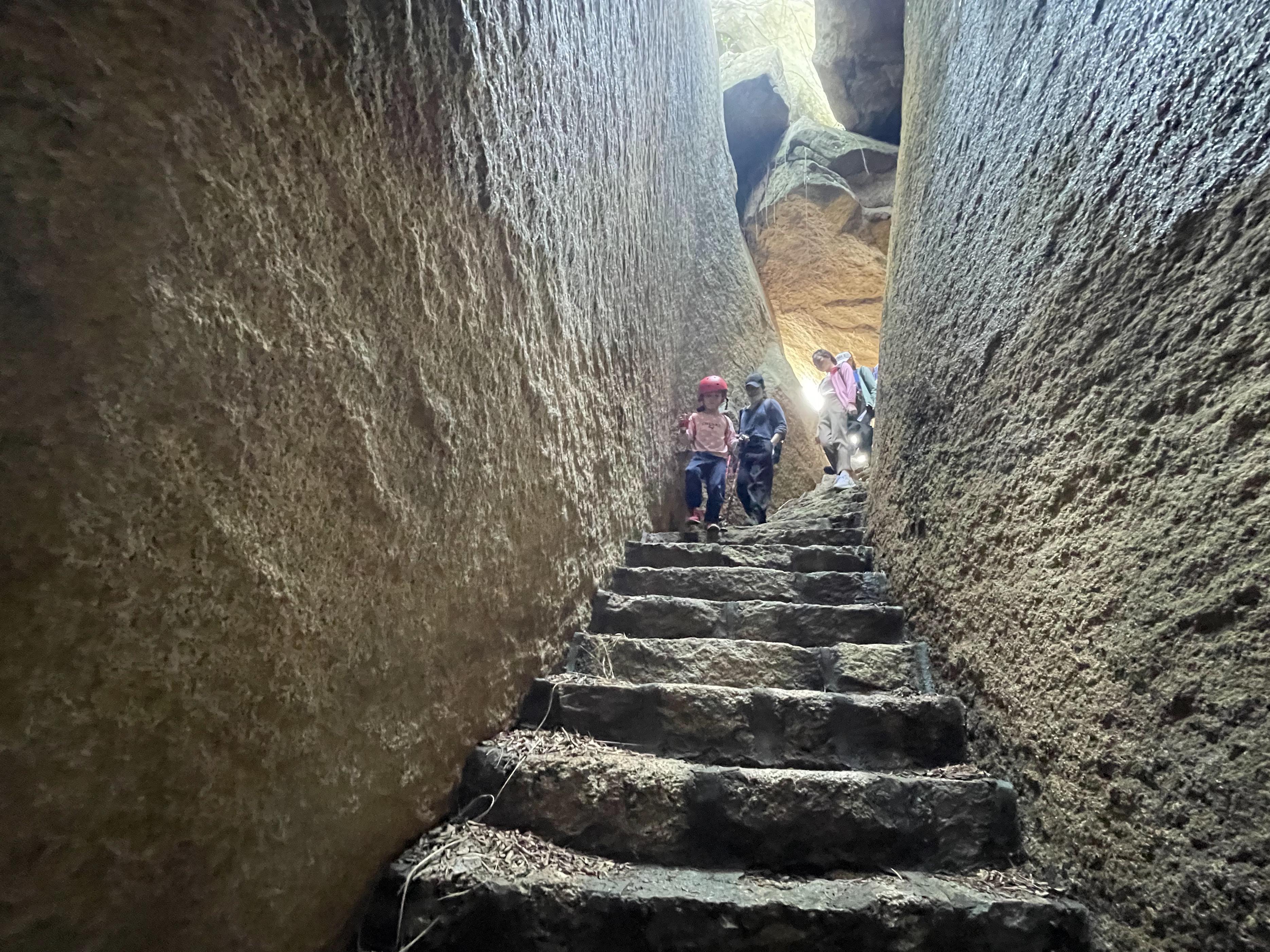 厦门带娃游玩推荐公园,厦门亲子游必去十大公园