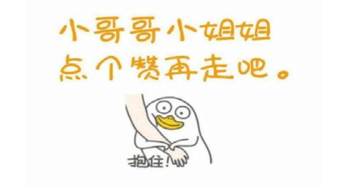 为啥不建议养秋田犬,千万别养秋田犬