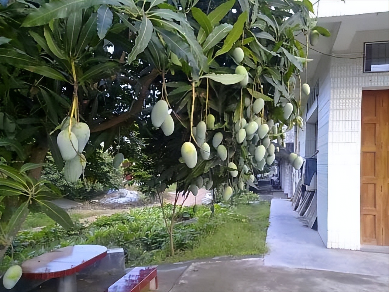 海关属于什么单位,广东海关公务员报考条件