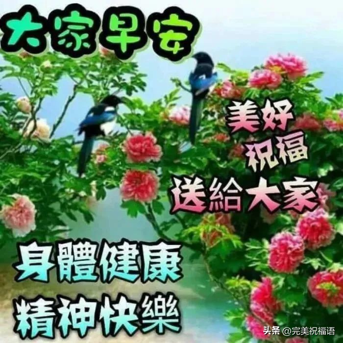 早上好图片大全最美温馨表情,新的一年早上好表情图