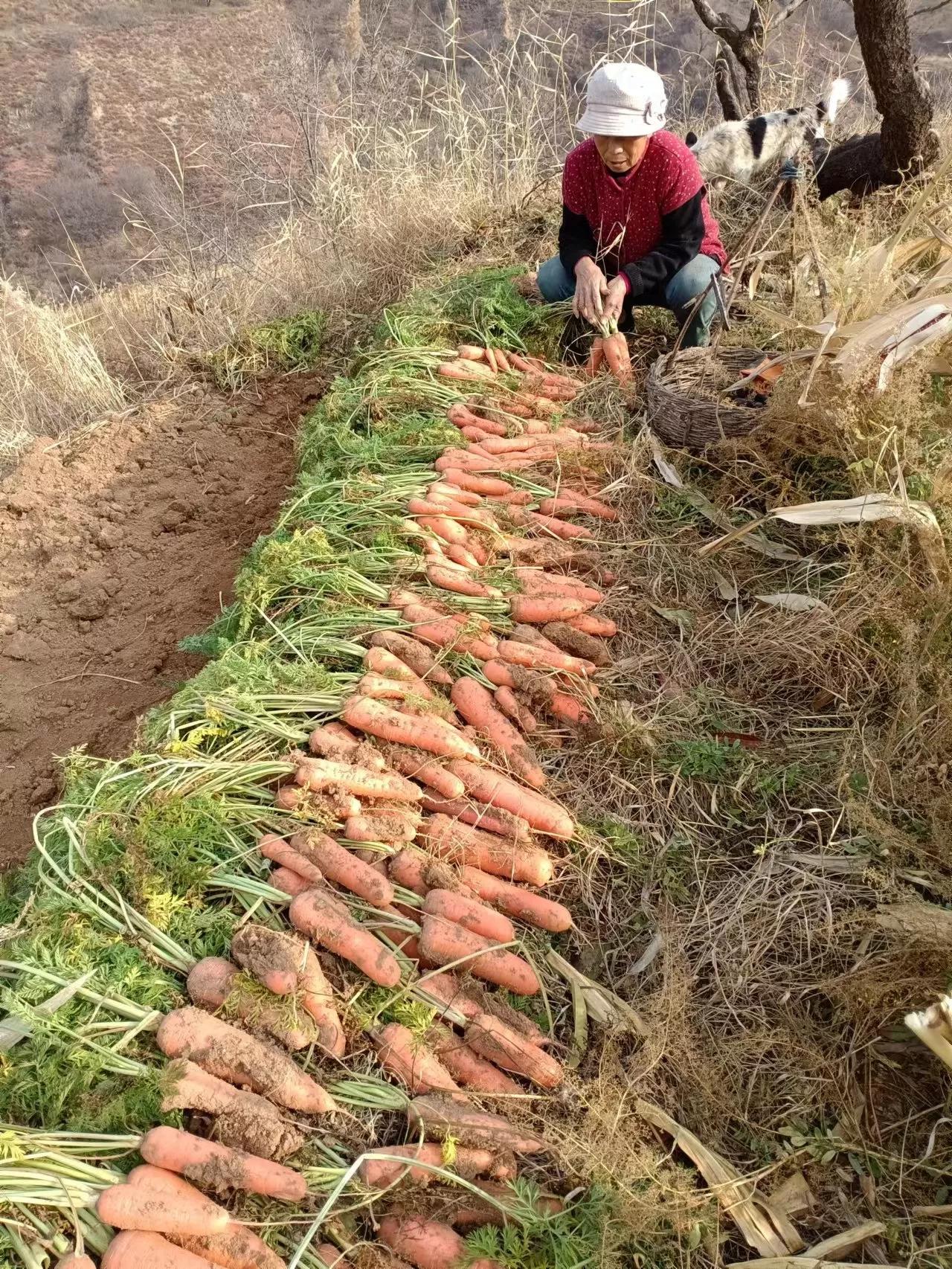 好好爱自己原唱,好好爱自己歌曲完整版