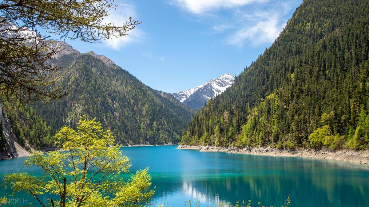 <html>
<head><title>502BadGateway</title></head>
<body>
<center><h1>502BadGateway</h1></center>
<hr><center>nginx</center>
</body>
</html>
<!--apaddingtodisableMSIEandChromefriendlyerrorpage-->
<!--apaddingtodisableMSIEandChromefriendlyerrorpage-->
<!--apaddingtodisableMSIEandChromefriendlyerrorpage-->
<!--apaddingtodisableMSIEandChromefriendlyerrorpage-->
<!--apaddingtodisableMSIEandChromefriendlyerrorpage-->
<!--apaddingtodisableMSIEandChromefriendlyerrorpage-->
