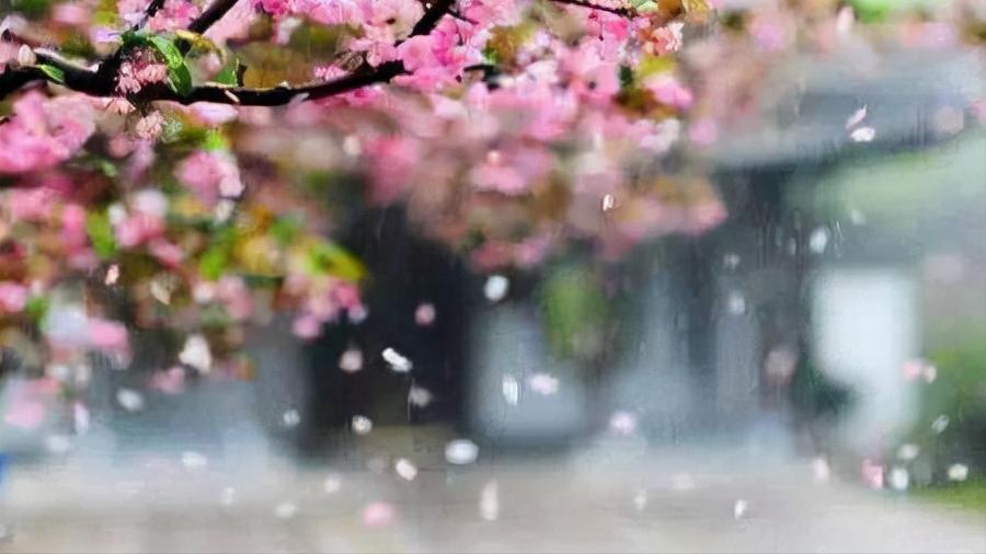 8首浪漫桃花诗词,三十六首经典桃花诗词