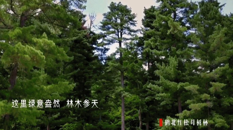 50块钱逛遍大连,50块钱逛沈阳