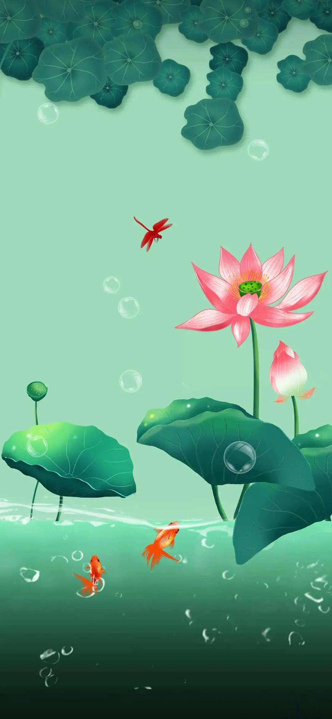 漂亮美丽的荷花壁纸,雨中荷花壁纸荣盛城