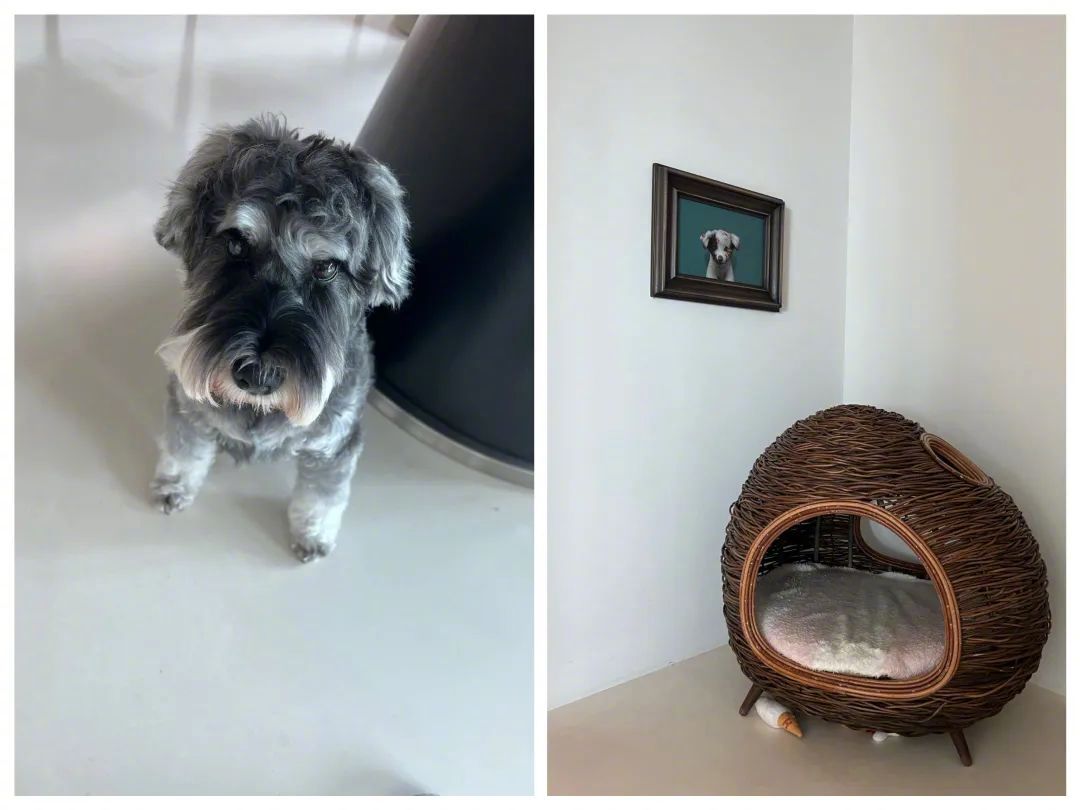 一代乐坛才女的传奇人生：花十余年，收藏千件宝贝