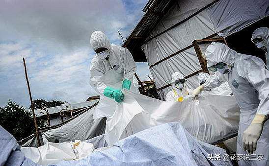 养羊的十大传染病,养羊须知预防哪几种传染病